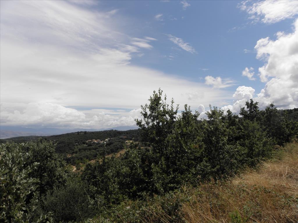 Земля на Корфу, Греция, 15 000 м² - фото 7