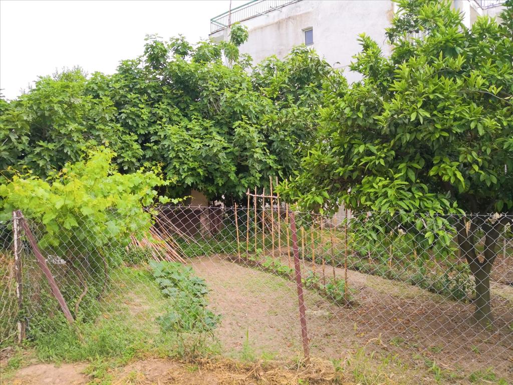 Дом в Ситонии, Греция, 400 м² - фото 7