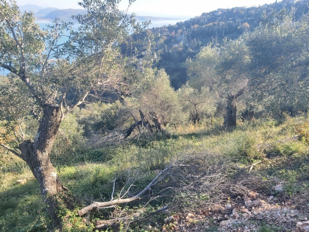 Земля на Корфу, Греция, 2 767 м² - фото 8