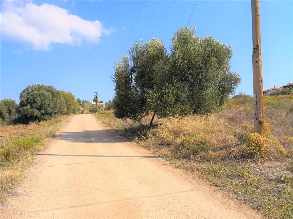 Земля в Ситонии, Греция, 30 600 м² - фото 8