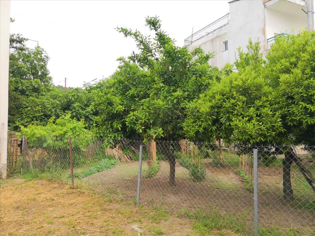 Дом в Ситонии, Греция, 400 м² - фото 8