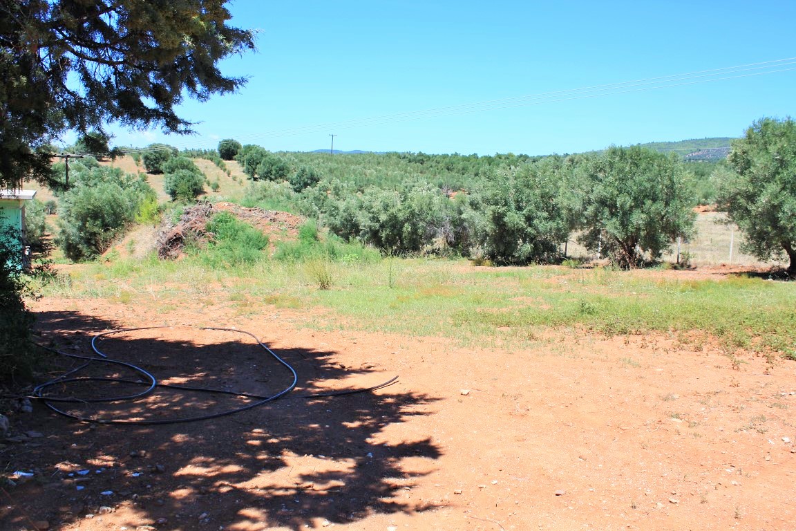 Земля в Ситонии, Греция, 4 000 м² - фото 8