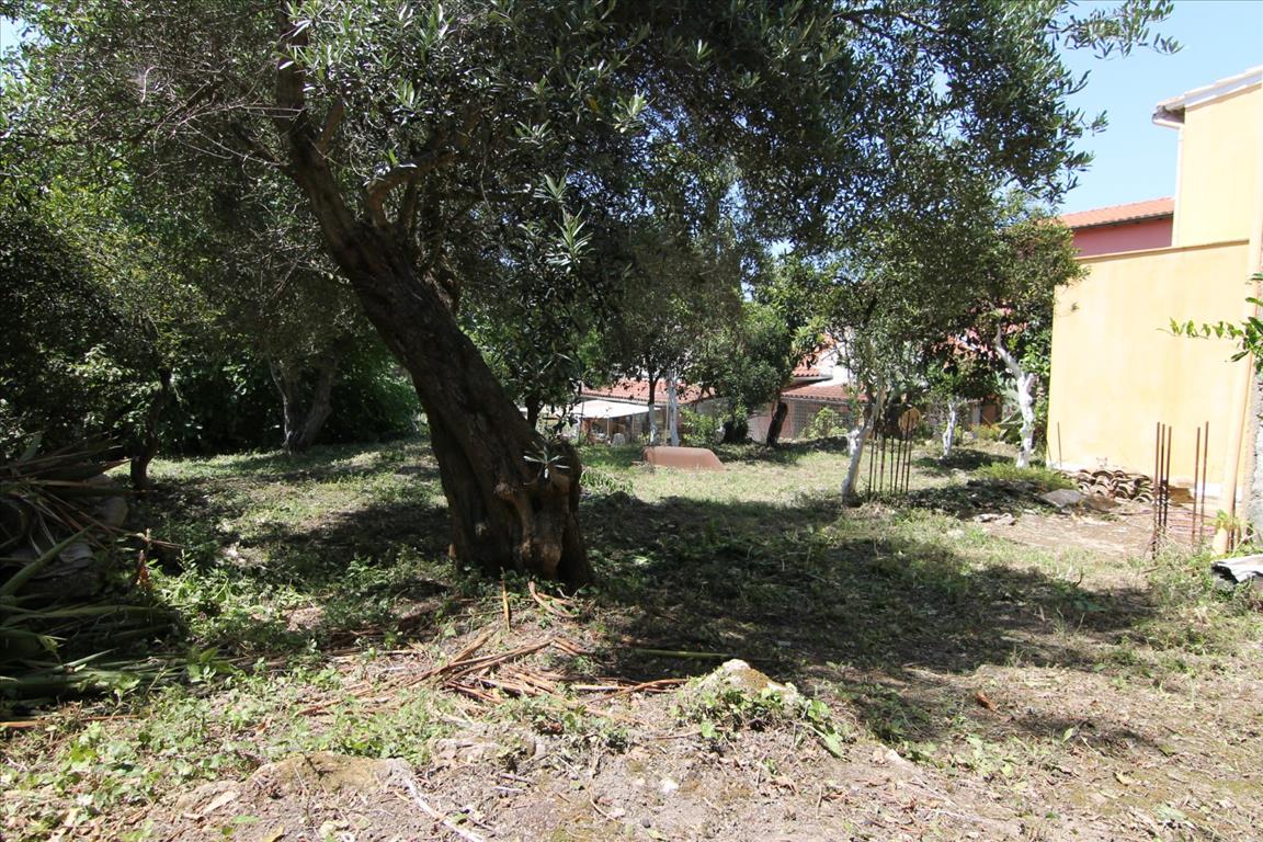 Дом на Корфу, Греция, 300 м² - фото 8