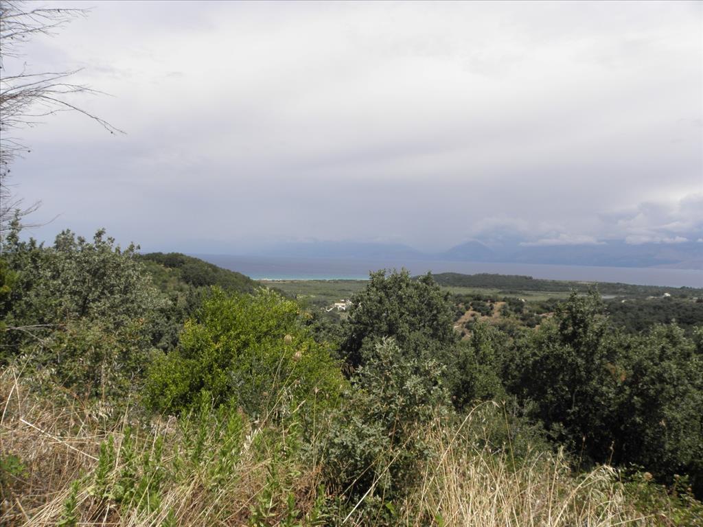 Земля на Корфу, Греция, 15 000 м² - фото 8