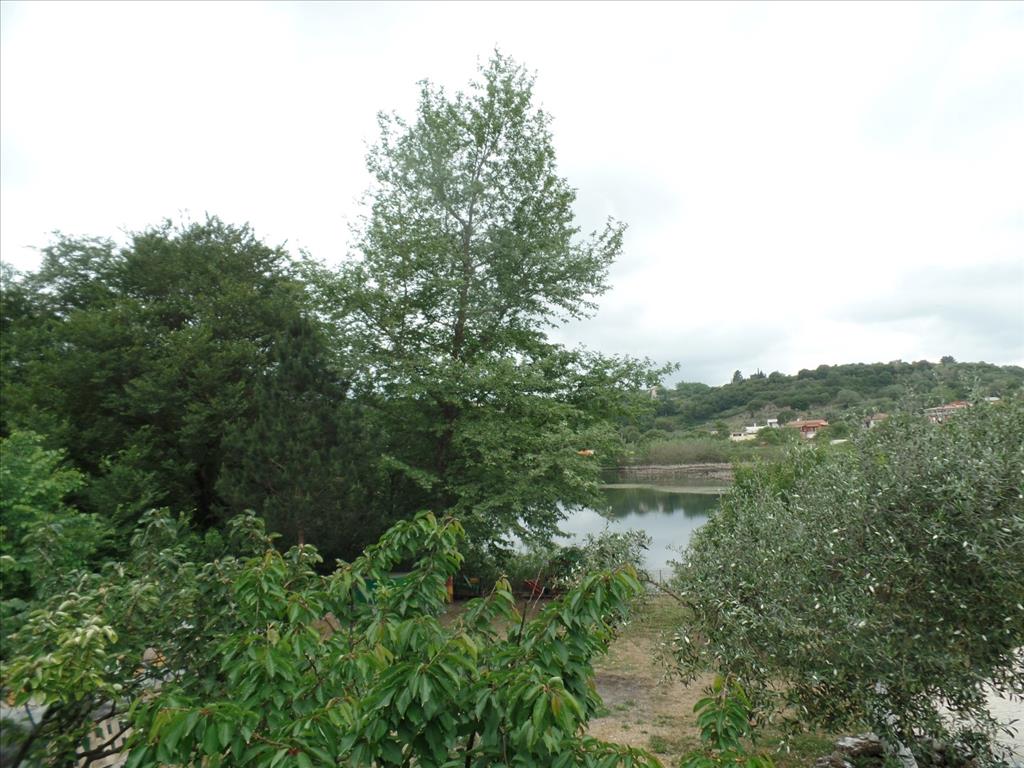 Земля на Корфу, Греция, 15 000 м² - фото 8