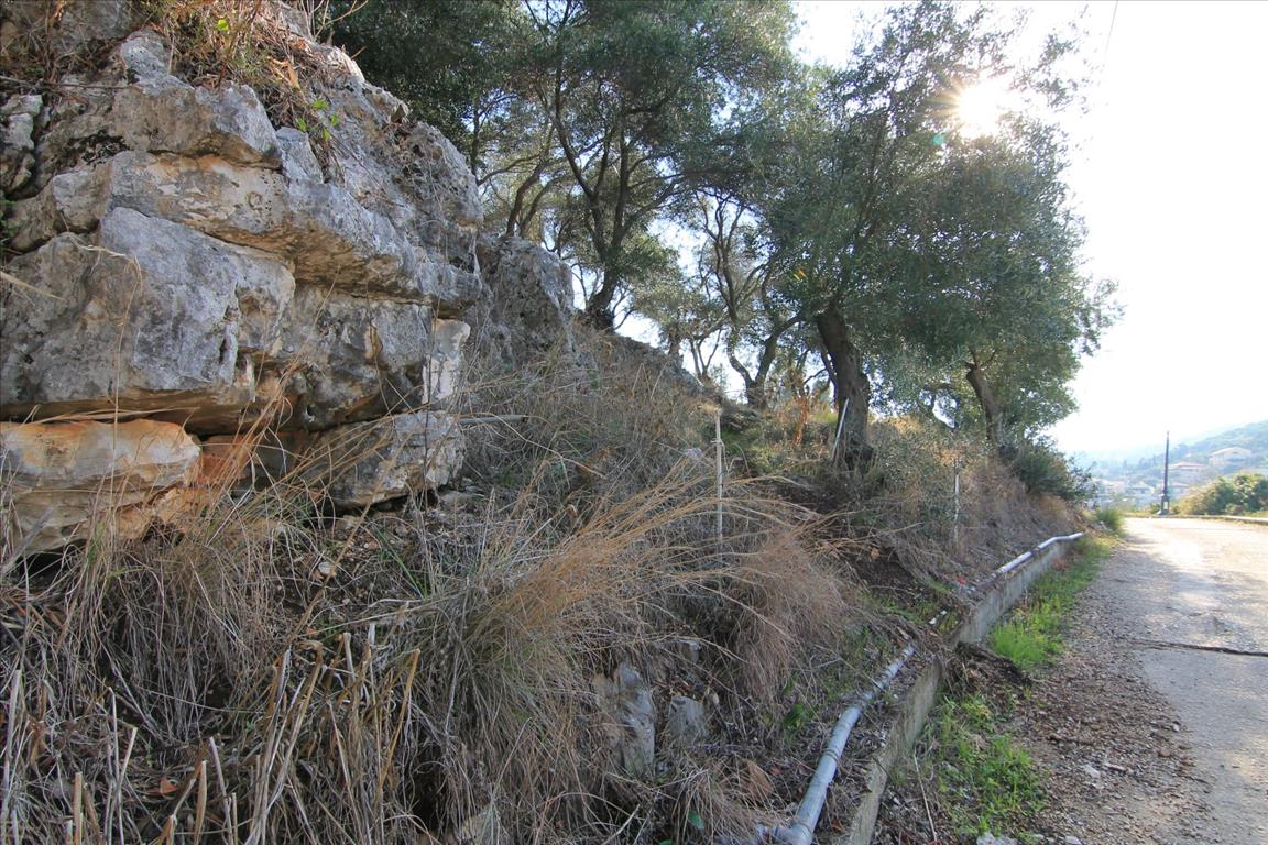 Земля на Корфу, Греция, 4 300 м² - фото 9