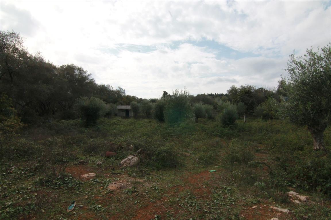 Земля на Корфу, Греция, 6 500 м² - фото 9