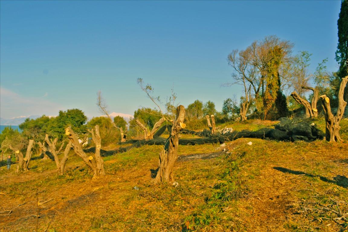 Земля на Корфу, Греция, 4 160 м² - фото 9