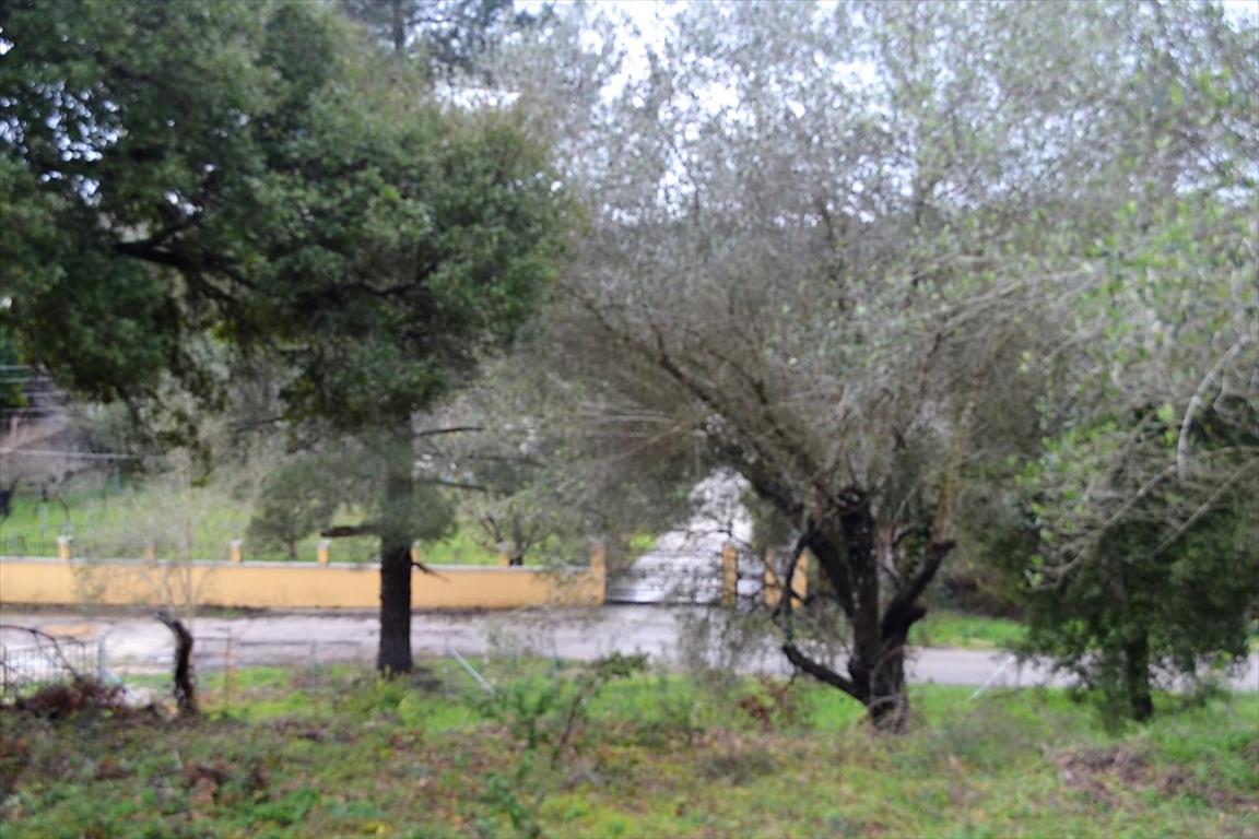 Земля на Корфу, Греция, 5 200 м² - фото 10