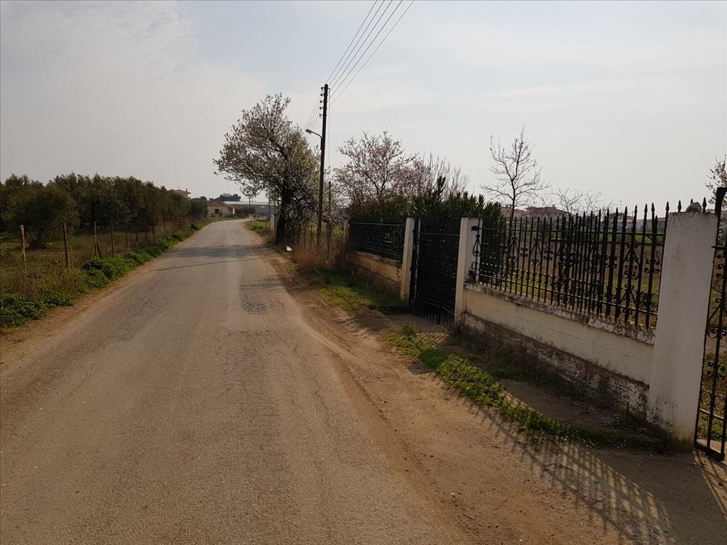 Дом в Ситонии, Греция, 190 м² - фото 10