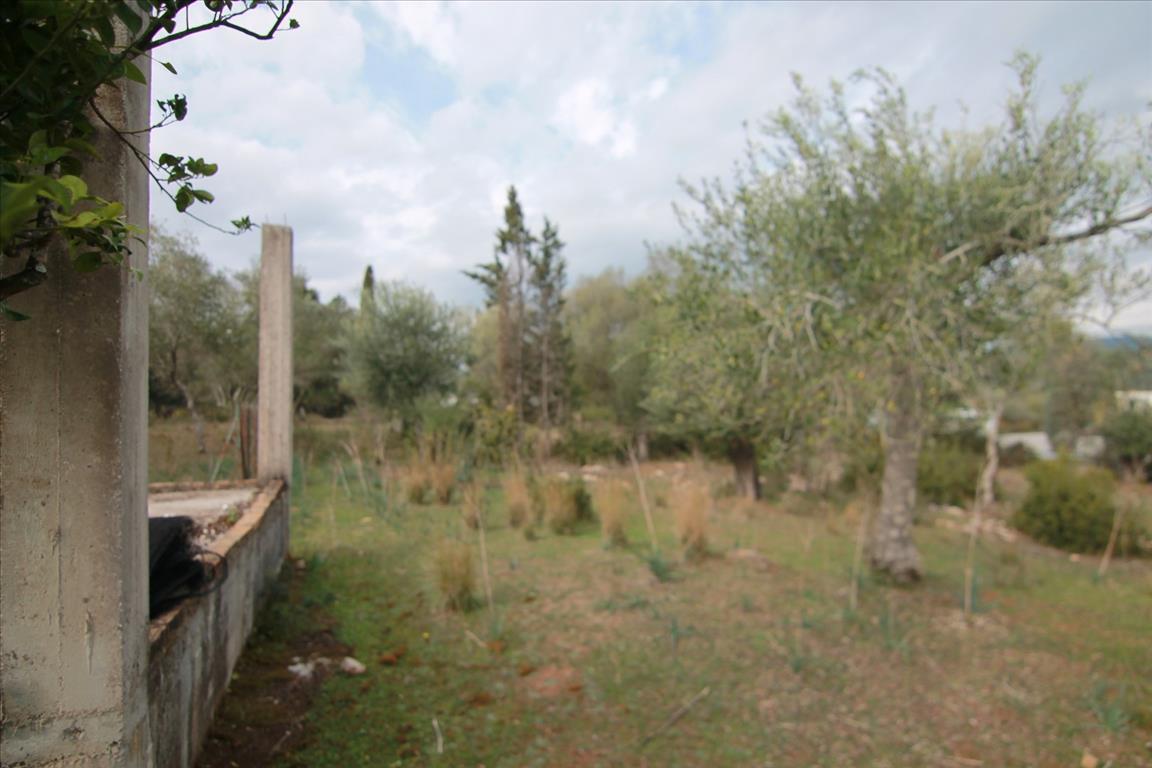 Земля на Корфу, Греция, 6 500 м² - фото 10