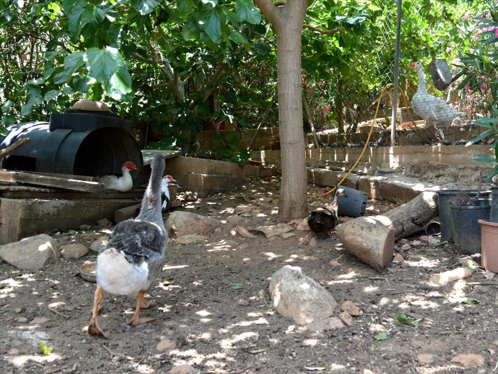 Дом в Аттике, Греция, 93 м² - фото 10