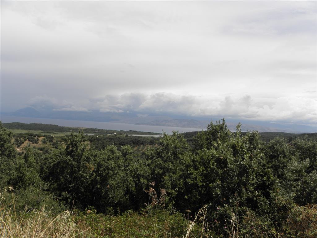 Земля на Корфу, Греция, 15 000 м² - фото 10