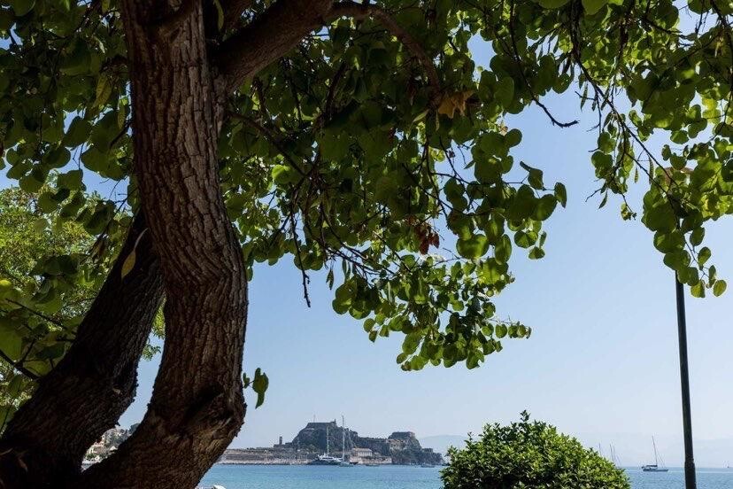 Квартира на Корфу, Греция, 77 м² - фото 8