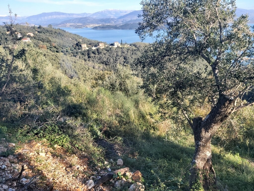 Земля на Корфу, Греция, 2 767 м² - фото 10