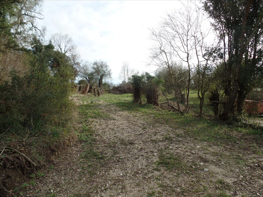 Земля на Корфу, Греция, 35 000 м² - фото 11