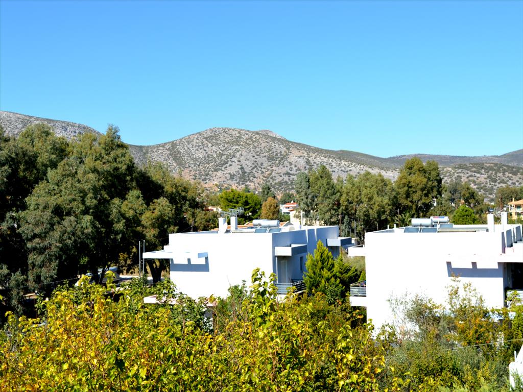 Дом в Аттике, Греция, 230 м² - фото 11