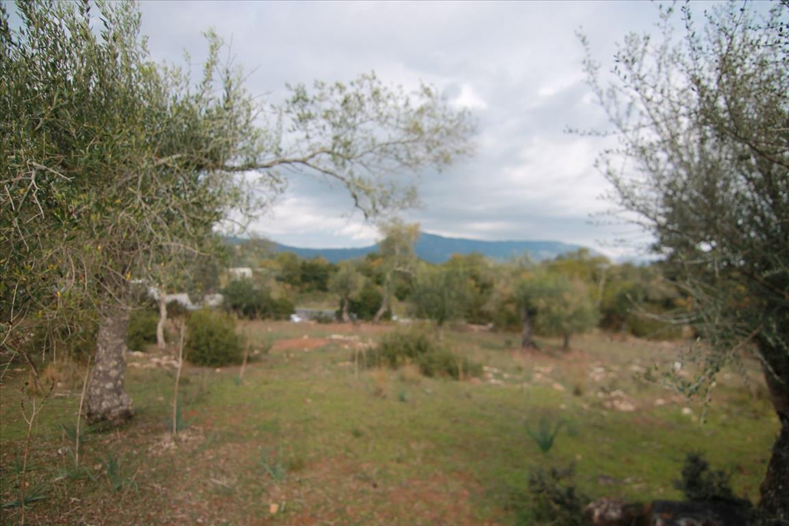 Земля на Корфу, Греция, 6 500 м² - фото 11