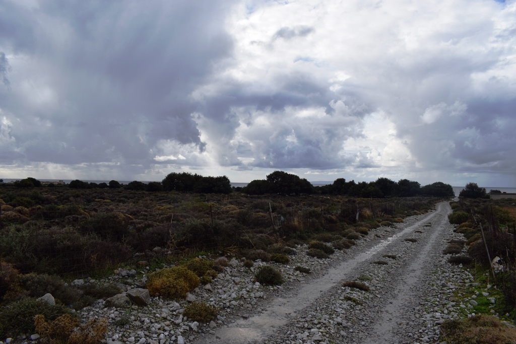 Земля в Ираклионе, Греция, 89 000 м² - фото 11