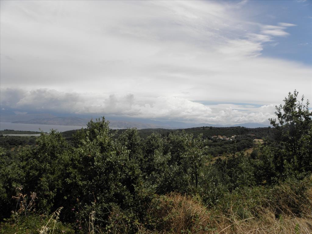 Земля на Корфу, Греция, 15 000 м² - фото 11