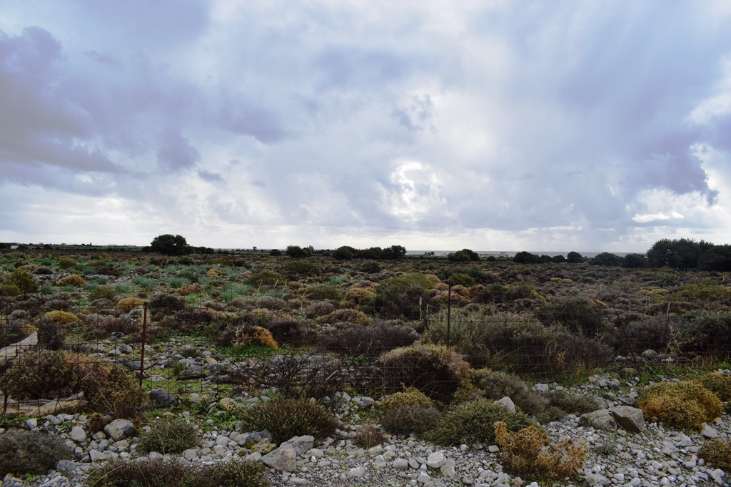 Земля в Ираклионе, Греция, 89 000 м² - фото 12