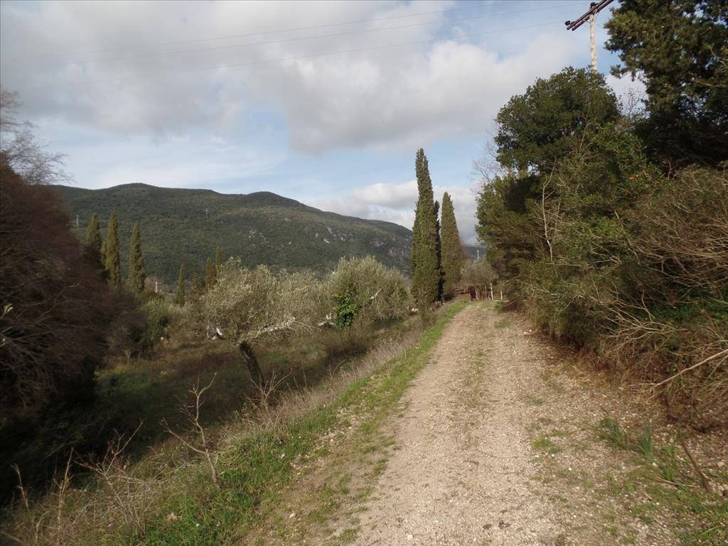 Земля на Корфу, Греция, 35 000 м² - фото 13