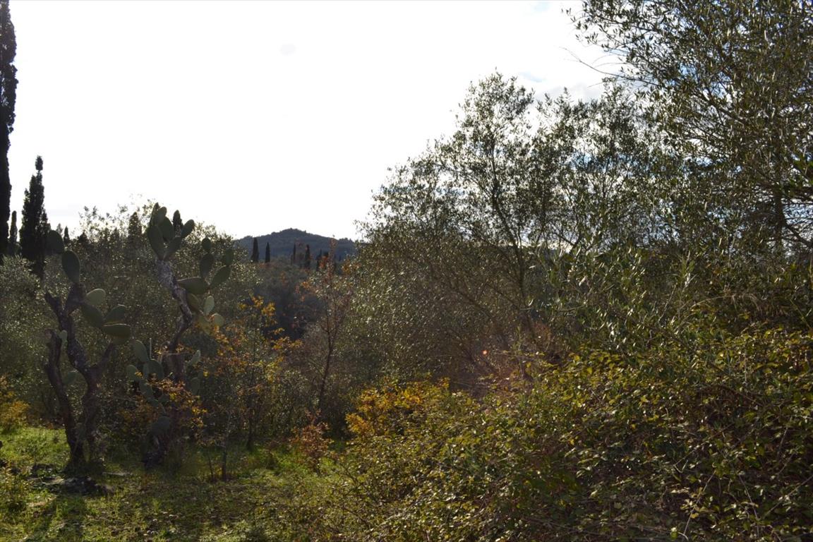 Земля на Корфу, Греция, 20 000 м² - фото 13