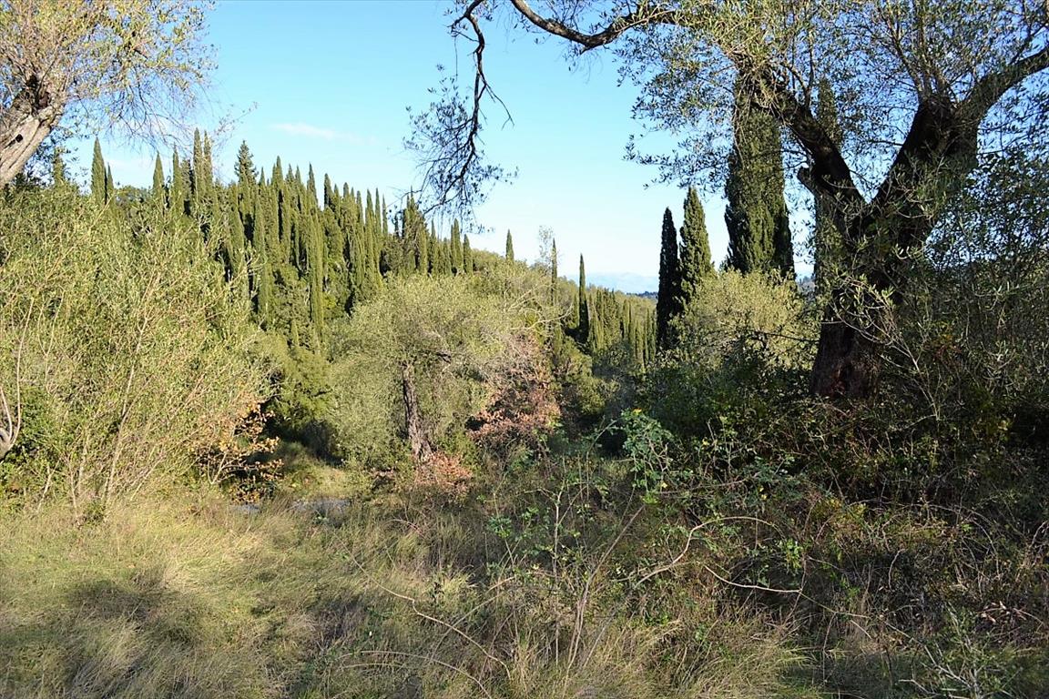 Земля на Корфу, Греция, 8 000 м² - фото 13