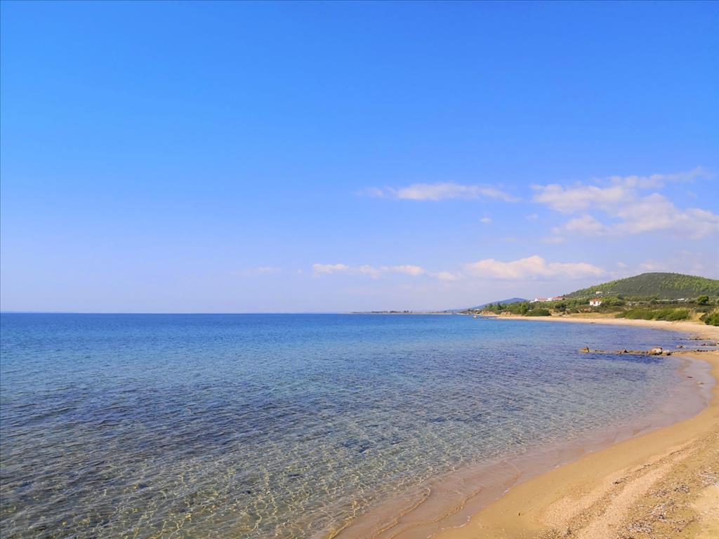 Земля в Ситонии, Греция, 30 600 м² - фото 14