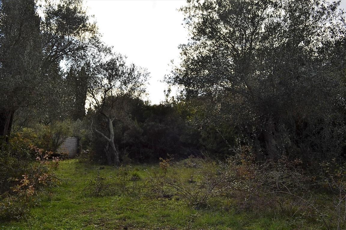Земля на Корфу, Греция, 20 000 м² - фото 14