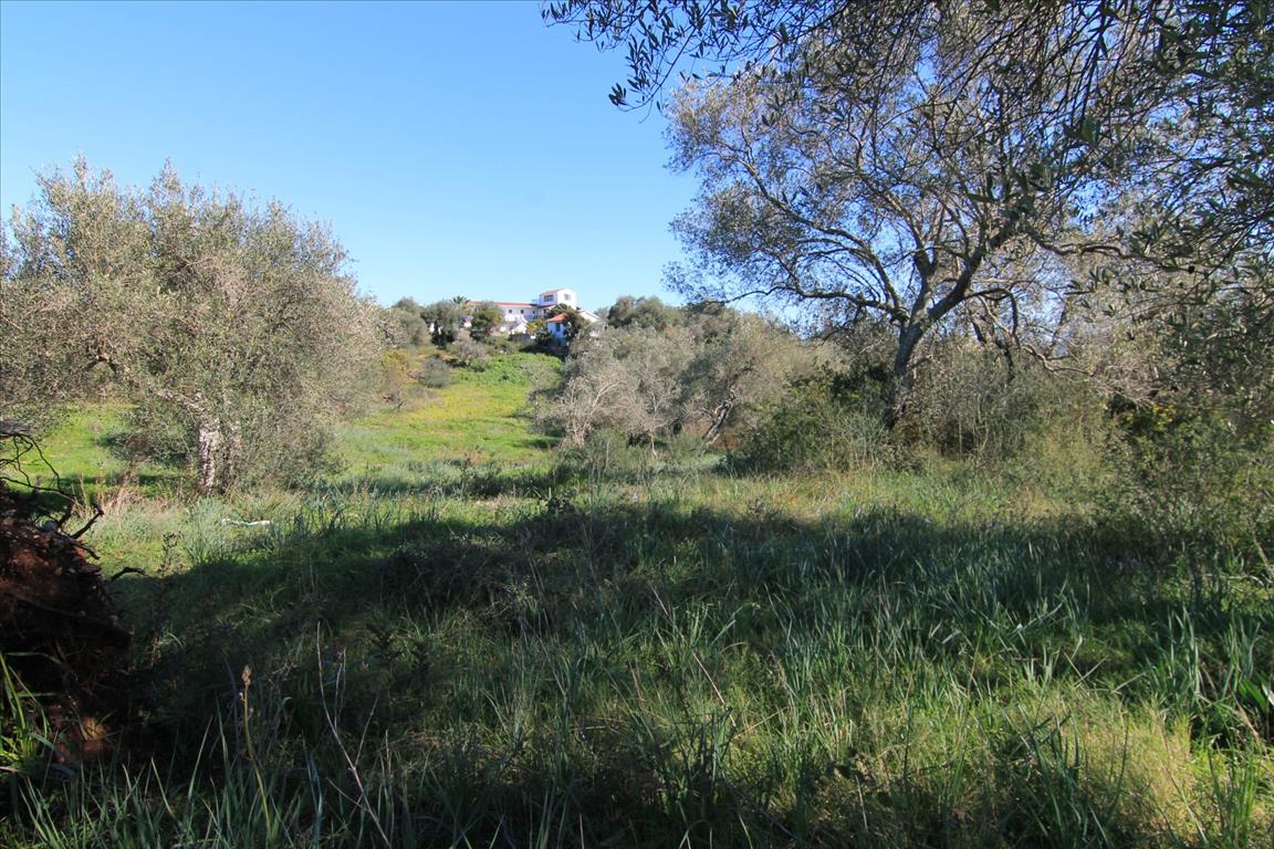 Земля на Корфу, Греция, 4 131 м² - фото 14