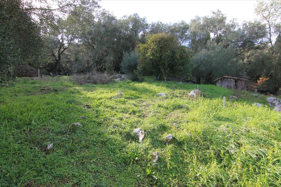 Дом на Корфу, Греция, 130 м² - фото 15