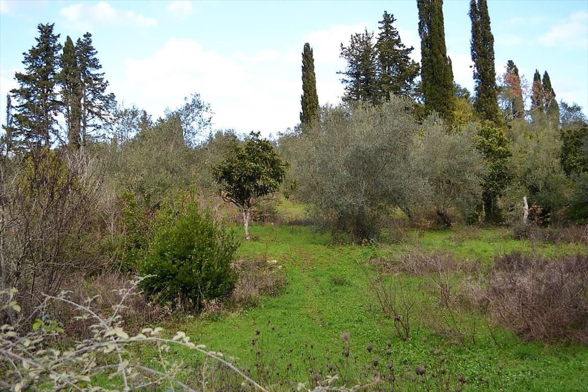 Земля на Корфу, Греция, 20 000 м² - фото 16