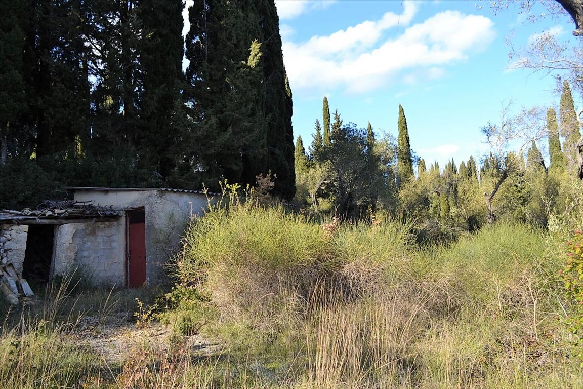 Земля на Корфу, Греция, 8 000 м² - фото 17