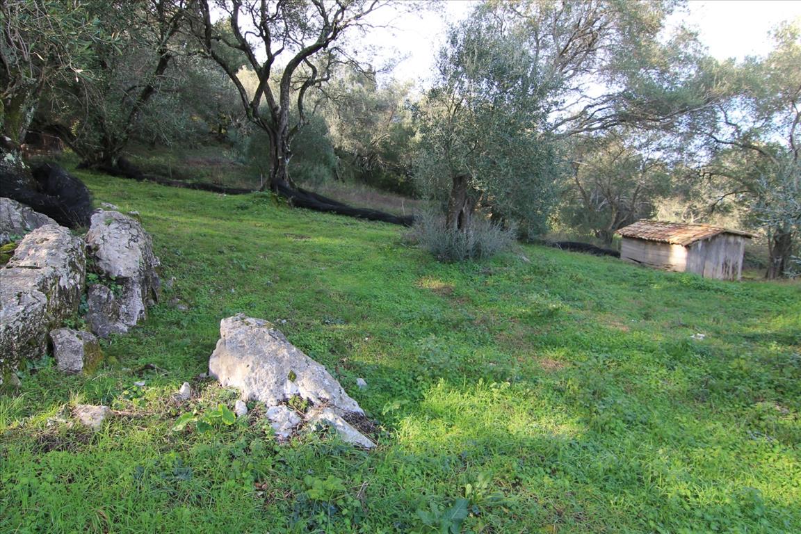 Дом на Корфу, Греция, 130 м² - фото 17