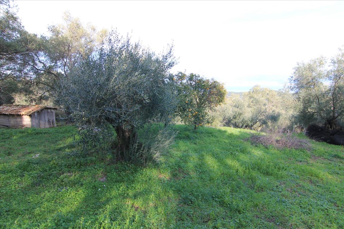 Дом на Корфу, Греция, 130 м² - фото 18