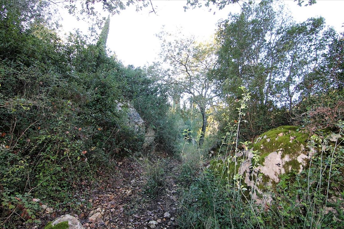 Земля на Корфу, Греция, 9 000 м² - фото 19