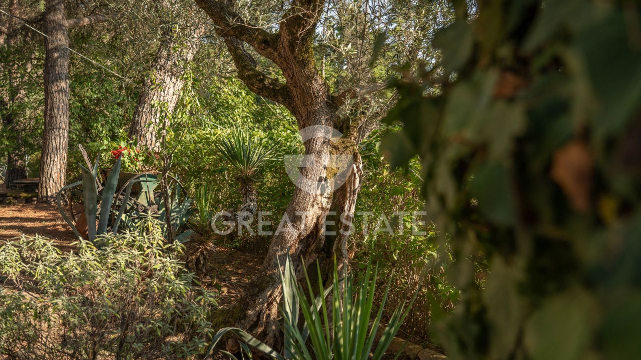 Дом в Маджоне, Италия, 274.6 м² - фото 8