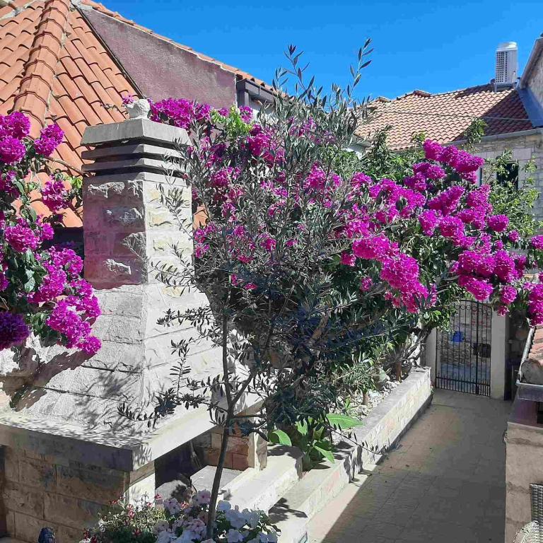 Отель, гостиница Supetar, Хорватия, 450 м² - фото 9