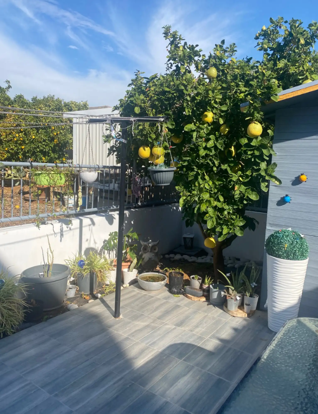 Дом в Ипсонасе, Кипр, 130 м² - фото 3