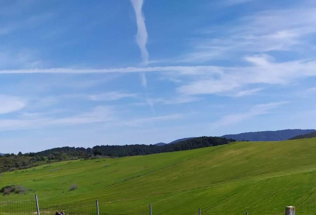 Земля на Халкидиках, Греция, 5 000 м² - фото 2