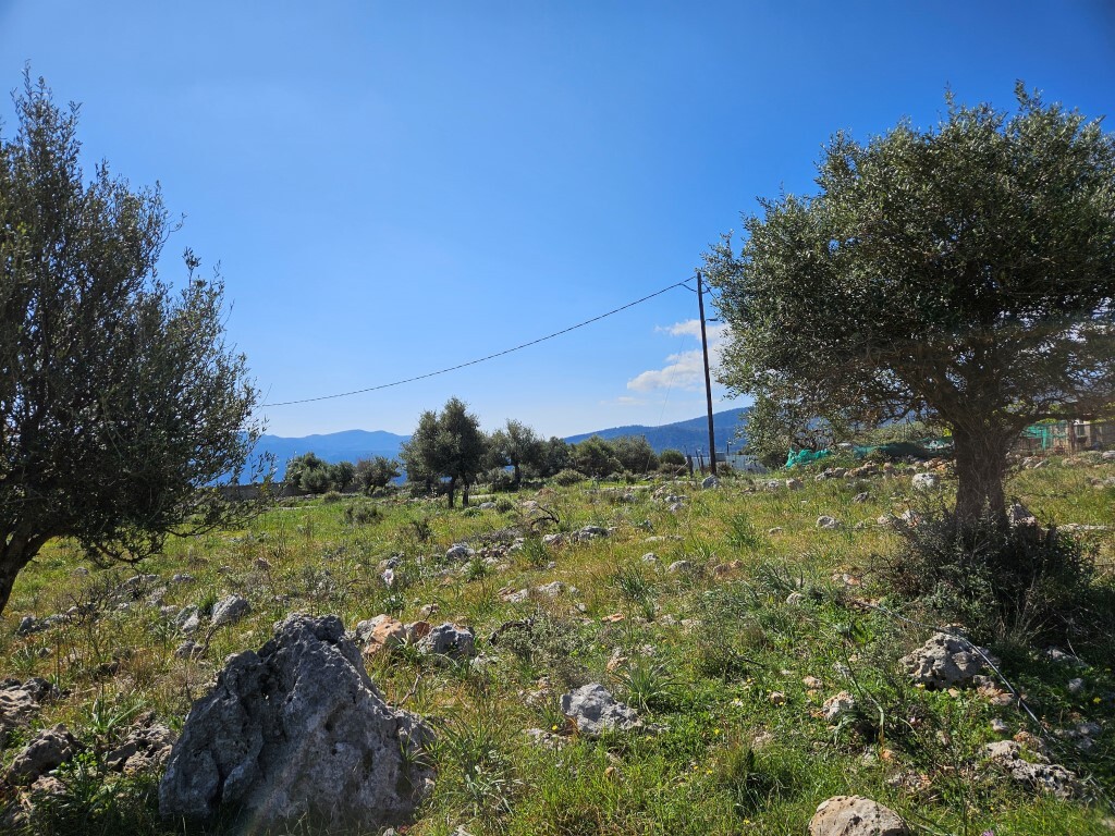 Земля в Ираклионе, Греция, 2 454 м² - фото 3