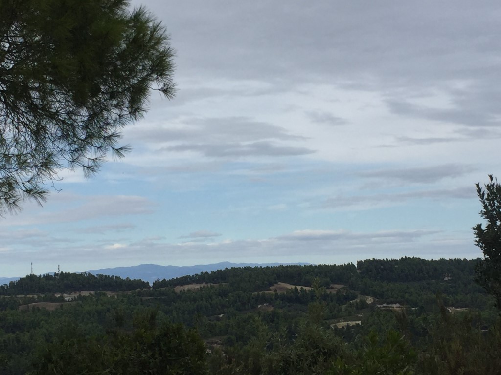 Земля на Кассандре, Греция, 13 000 м² - фото 4