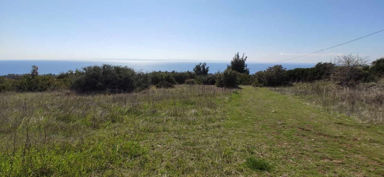 Земля в Ситонии, Греция, 4 170 м² - фото 4