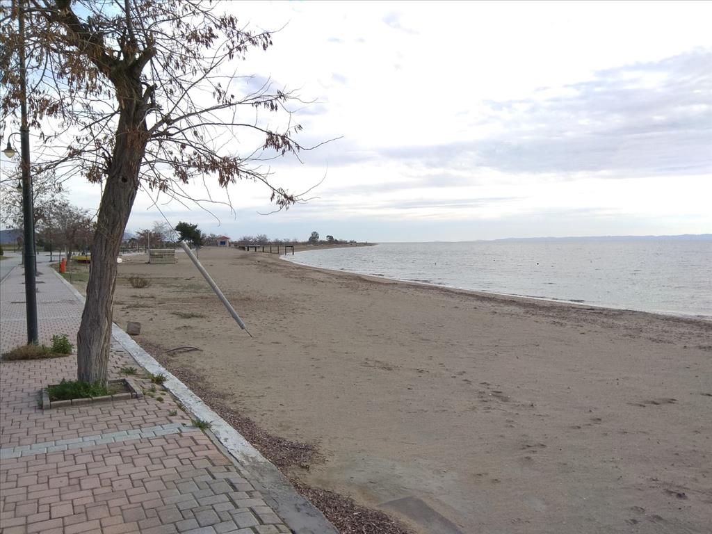 Земля в Ситонии, Греция, 1 800 м² - фото 6