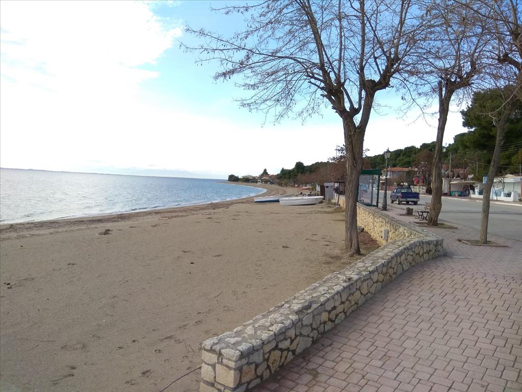 Земля в Ситонии, Греция, 1 800 м² - фото 7