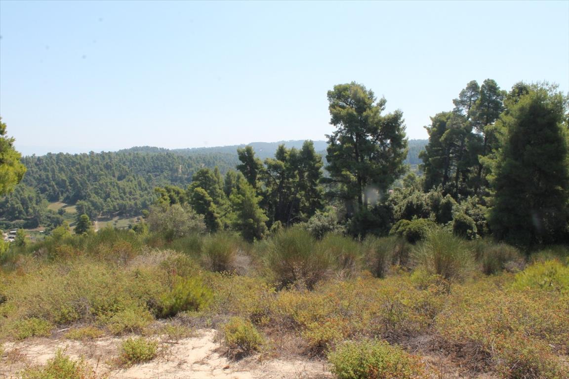 Земля на Кассандре, Греция, 13 000 м² - фото 11