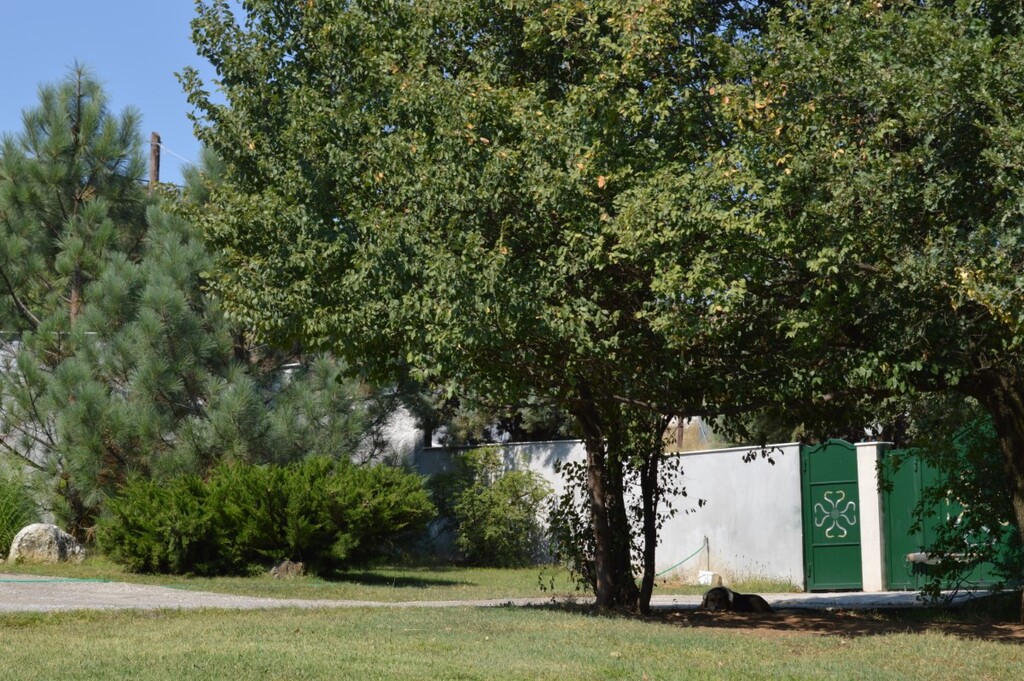 Дом в Салониках, Греция, 210 м² - фото 12