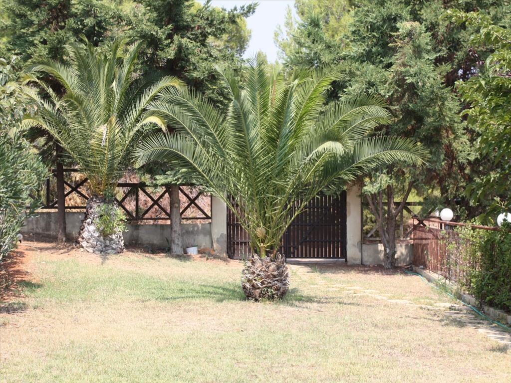 Мезонет в Ситонии, Греция, 72 м² - фото 12