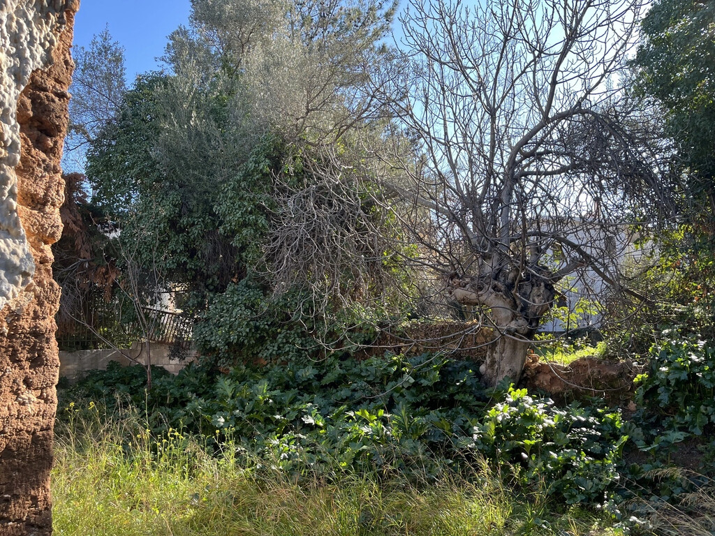 Земля в Афинах, Греция, 650 м² - фото 12